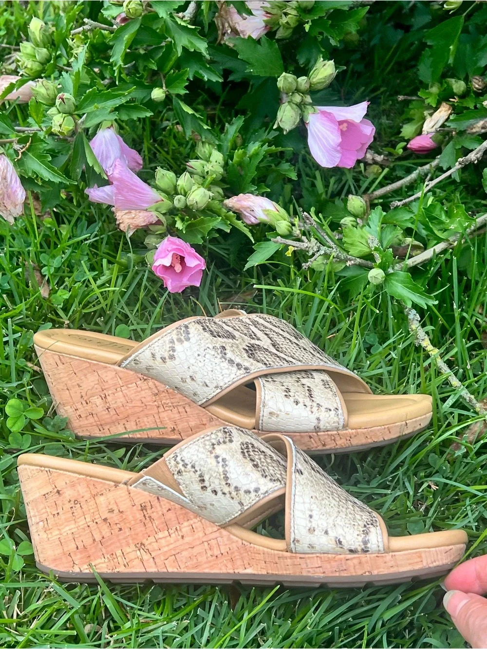 Cole Haan Snakeskin snake 🐍 wedges cork cushioned comfort with Nike Technology 7